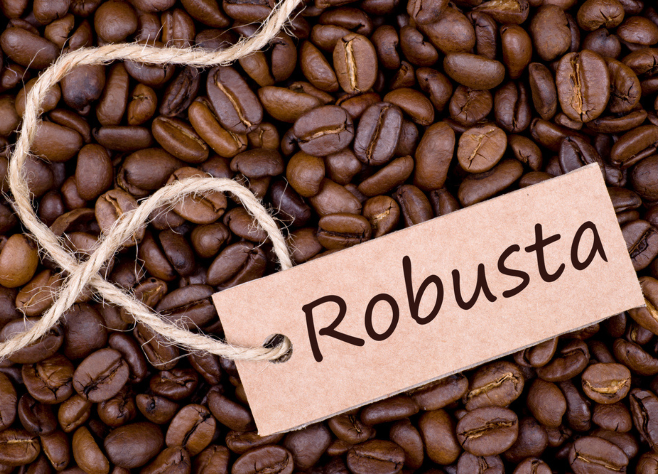 Robusta-Kaffee