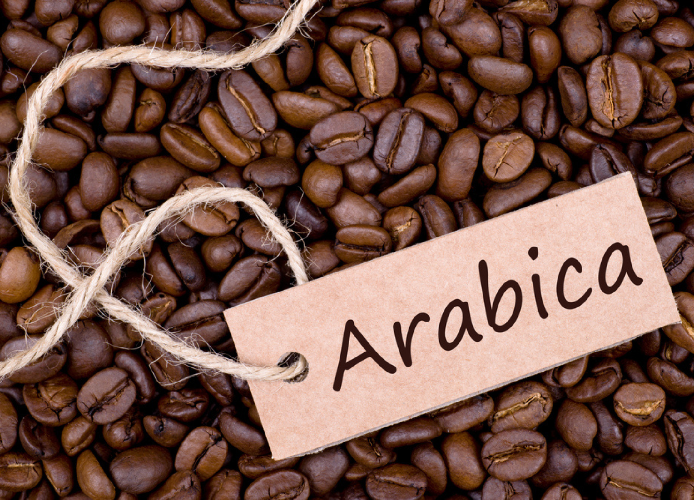 Arabica-Kaffee
